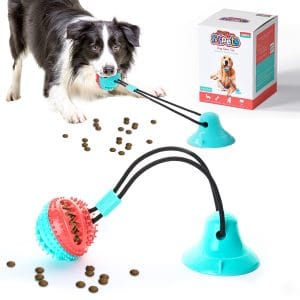 Read more about the article Best Toys for Dogs: Top Picks to Keep Tails Wagging!