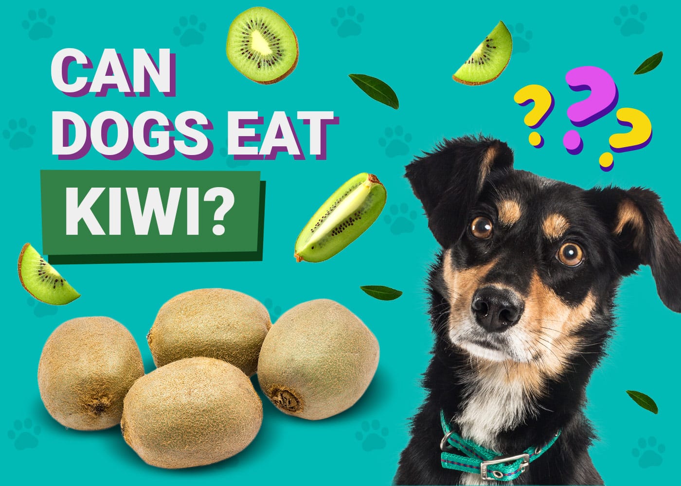 Read more about the article Can Dogs Eat Kiwi? Uncover the Surprising Truth!