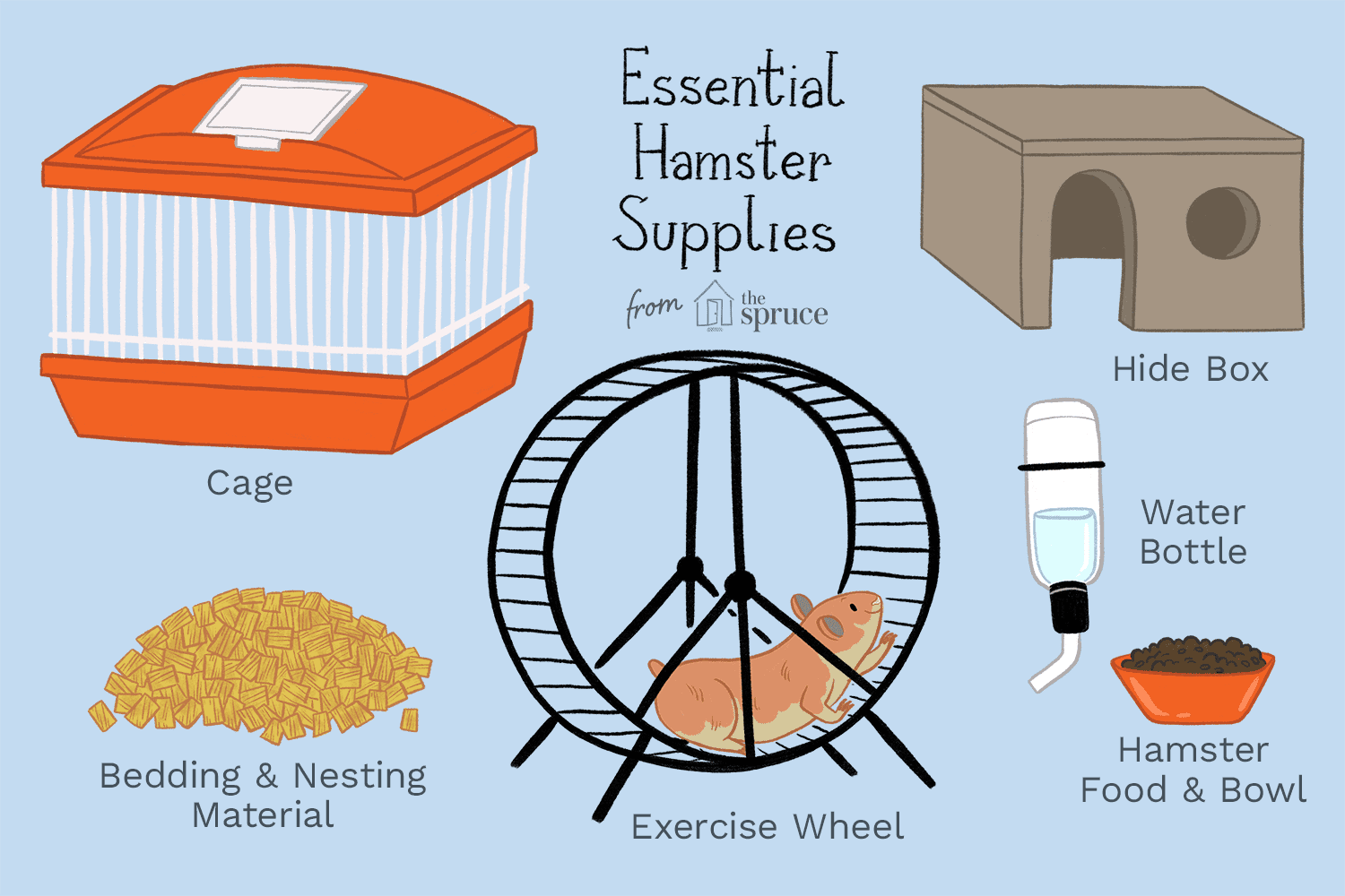 Read more about the article How to Care for Hamsters: Essential Tips & Tricks