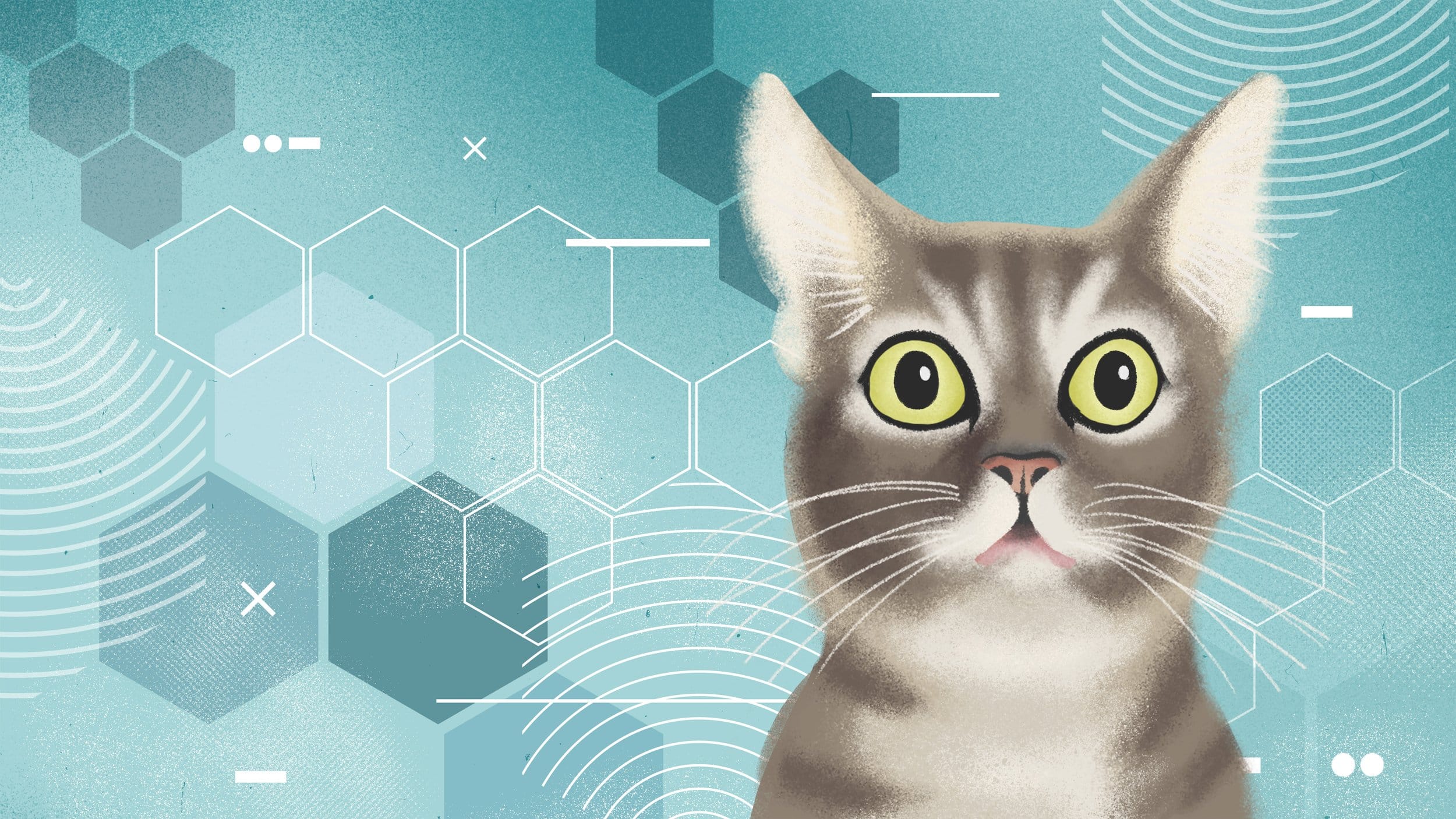 Read more about the article How to Decode the Mystery of Your Cat’s Age: Expert Tips Revealed