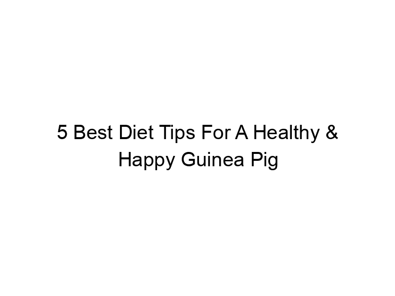 Read more about the article 5 Best Diet Tips For A Healthy & Happy Guinea Pig