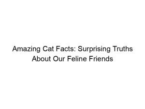 Read more about the article Amazing Cat Facts: Surprising Truths About Our Feline Friends