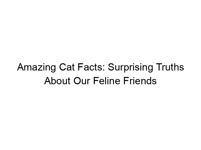 Read more about the article Amazing Cat Facts: Surprising Truths About Our Feline Friends