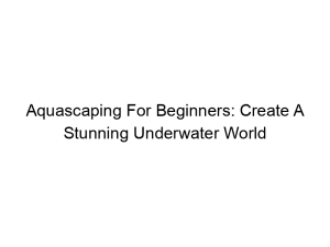 Read more about the article Aquascaping For Beginners: Create A Stunning Underwater World