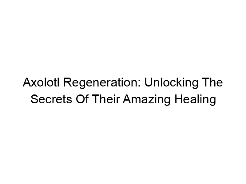 Read more about the article Axolotl Regeneration: Unlocking The Secrets Of Their Amazing Healing