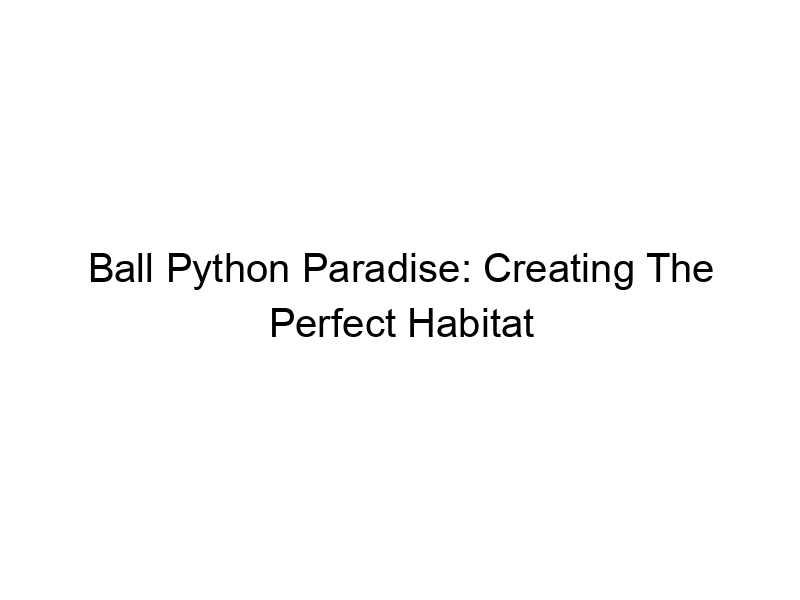 Read more about the article Ball Python Paradise: Creating The Perfect Habitat