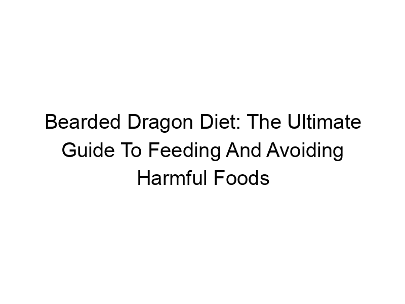 Read more about the article Bearded Dragon Diet: The Ultimate Guide To Feeding And Avoiding Harmful Foods