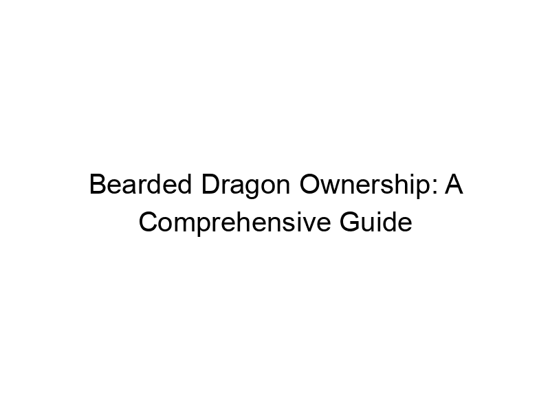 Read more about the article Bearded Dragon Ownership: A Comprehensive Guide