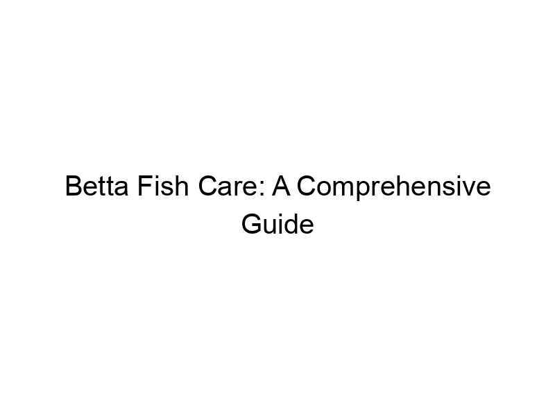 Read more about the article Betta Fish Care: A Comprehensive Guide