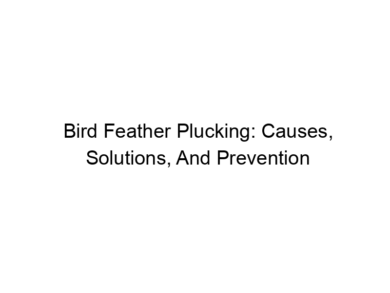Read more about the article Bird Feather Plucking: Causes, Solutions, And Prevention
