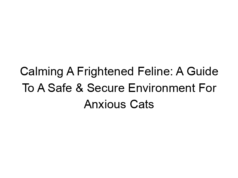 Read more about the article Calming A Frightened Feline: A Guide To A Safe & Secure Environment For Anxious Cats