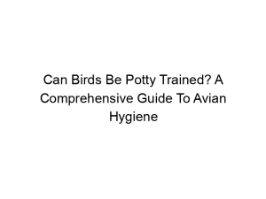 Read more about the article Can Birds Be Potty Trained? A Comprehensive Guide To Avian Hygiene