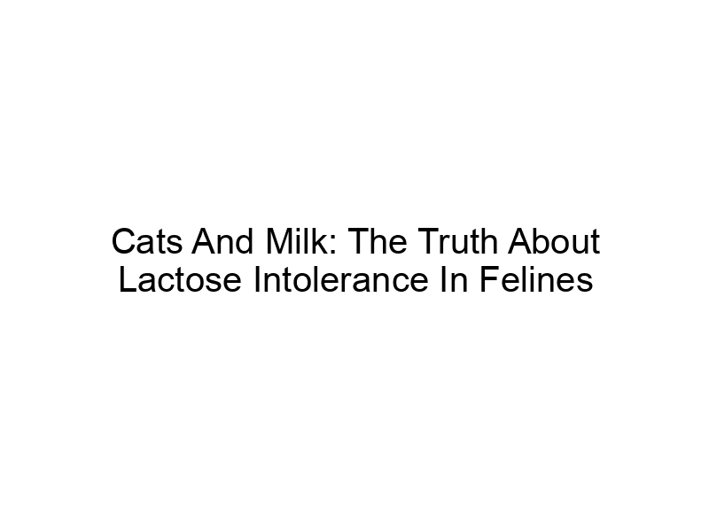 Read more about the article Cats And Milk: The Truth About Lactose Intolerance In Felines