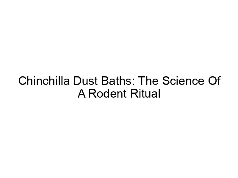 Read more about the article Chinchilla Dust Baths: The Science Of A Rodent Ritual