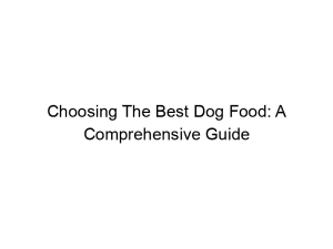 Read more about the article Choosing The Best Dog Food: A Comprehensive Guide