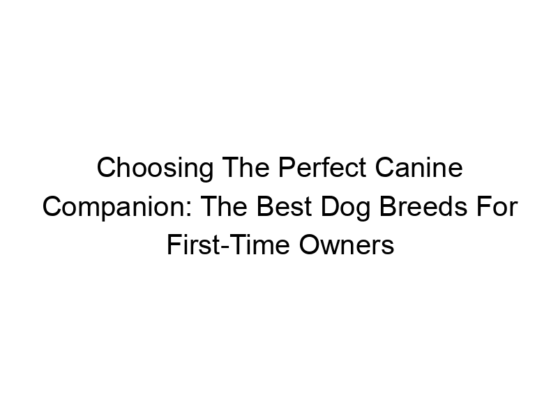 Read more about the article Choosing The Perfect Canine Companion: The Best Dog Breeds For First-Time Owners