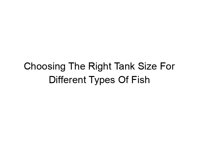 Read more about the article Choosing The Right Tank Size For Different Types Of Fish