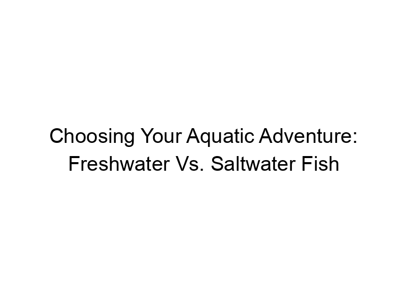 Read more about the article Choosing Your Aquatic Adventure: Freshwater Vs. Saltwater Fish