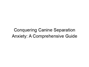 Read more about the article Conquering Canine Separation Anxiety: A Comprehensive Guide