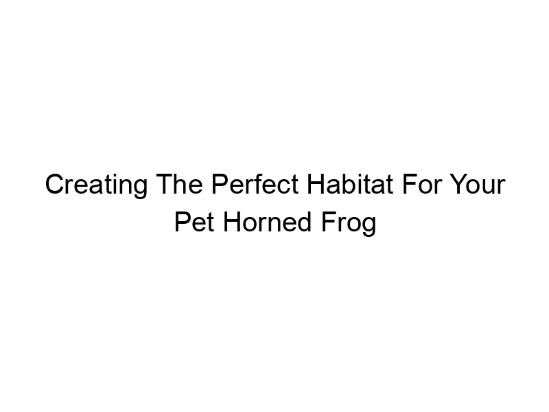 Read more about the article Creating The Perfect Habitat For Your Pet Horned Frog