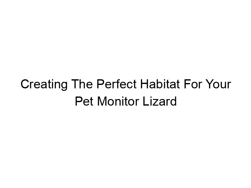 Read more about the article Creating The Perfect Habitat For Your Pet Monitor Lizard
