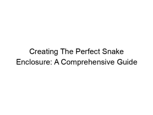 Read more about the article Creating The Perfect Snake Enclosure: A Comprehensive Guide