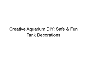 Read more about the article Creative Aquarium DIY: Safe & Fun Tank Decorations