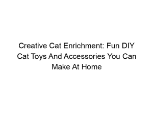 Read more about the article Creative Cat Enrichment: Fun DIY Cat Toys And Accessories You Can Make At Home