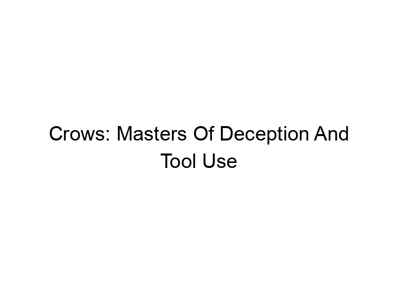 Read more about the article Crows: Masters Of Deception And Tool Use
