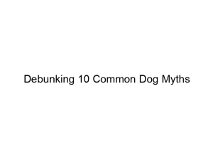 Read more about the article Debunking 10 Common Dog Myths