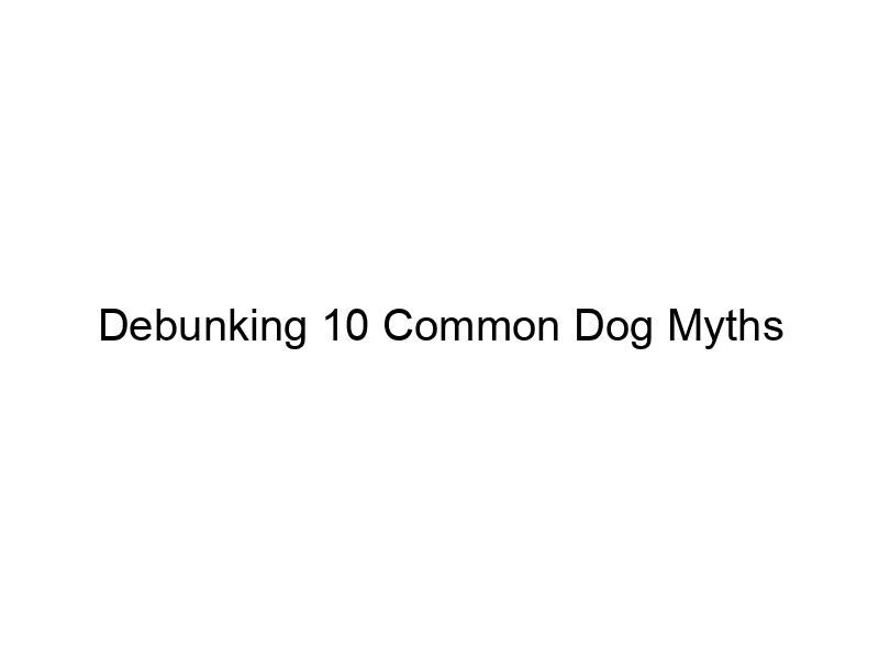 Read more about the article Debunking 10 Common Dog Myths