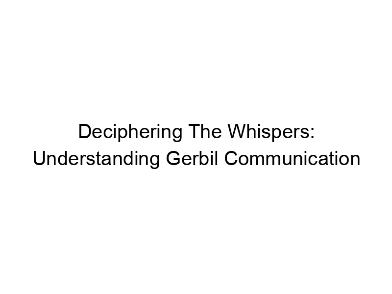 Read more about the article Deciphering The Whispers: Understanding Gerbil Communication