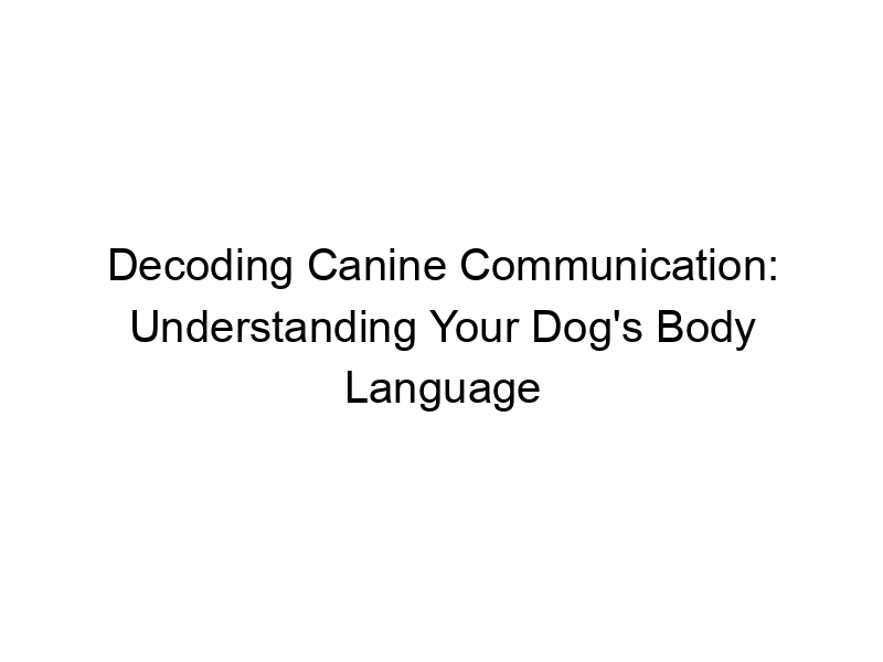 Read more about the article Decoding Canine Communication: Understanding Your Dog’s Body Language