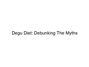Read more about the article Degu Diet: Debunking The Myths
