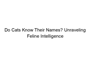 Read more about the article Do Cats Know Their Names? Unraveling Feline Intelligence