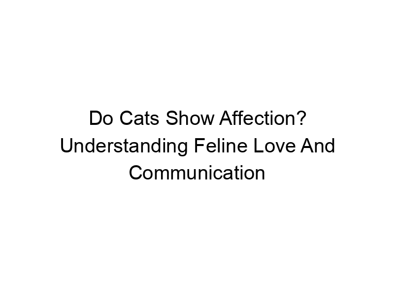 Read more about the article Do Cats Show Affection? Understanding Feline Love And Communication