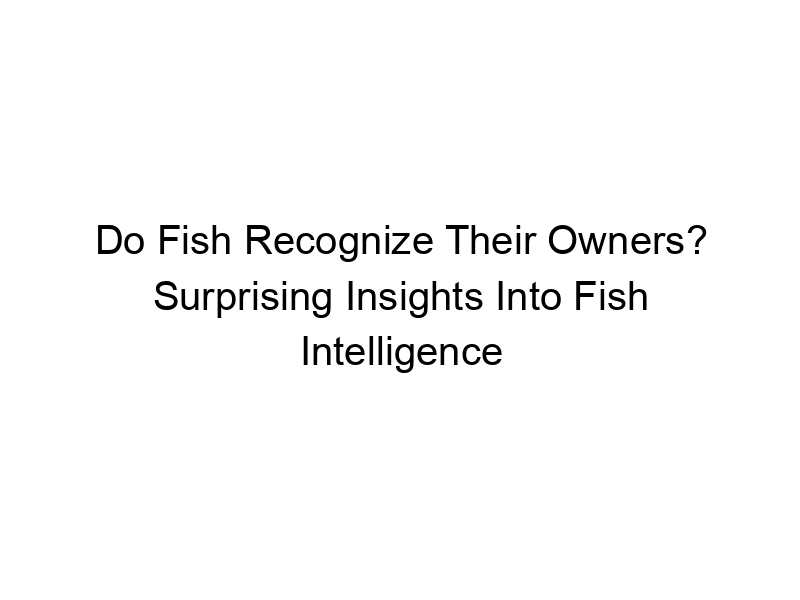 Read more about the article Do Fish Recognize Their Owners? Surprising Insights Into Fish Intelligence
