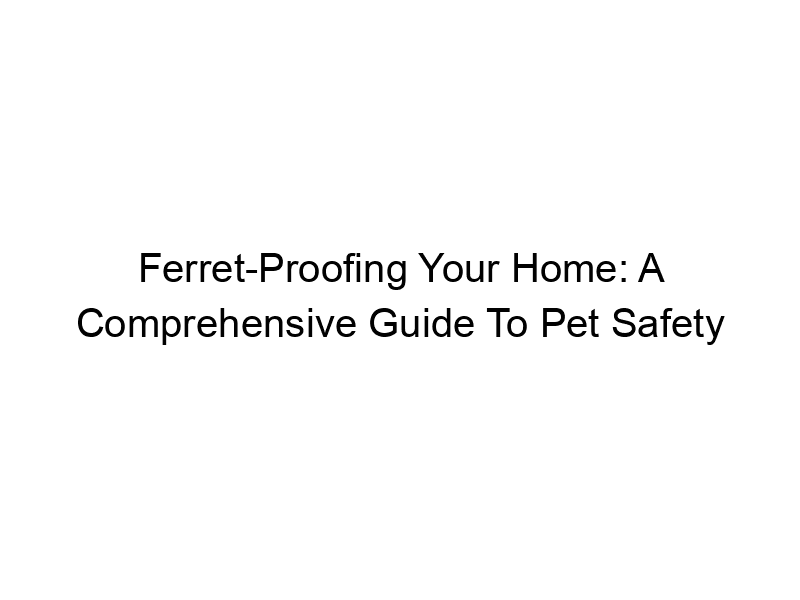 Read more about the article Ferret-Proofing Your Home: A Comprehensive Guide To Pet Safety
