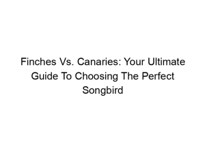 Read more about the article Finches Vs. Canaries: Your Ultimate Guide To Choosing The Perfect Songbird