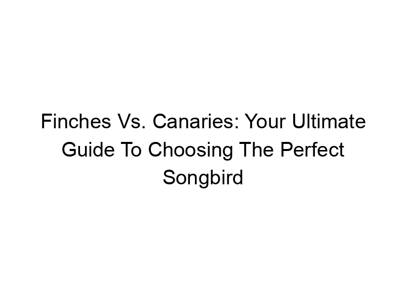 Read more about the article Finches Vs. Canaries: Your Ultimate Guide To Choosing The Perfect Songbird