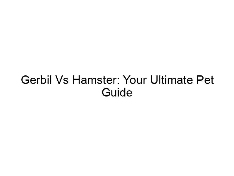 Read more about the article Gerbil Vs Hamster: Your Ultimate Pet Guide