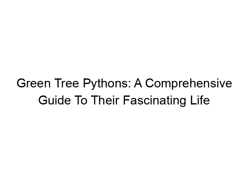 Read more about the article Green Tree Pythons: A Comprehensive Guide To Their Fascinating Life