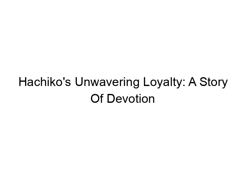 Read more about the article Hachiko’s Unwavering Loyalty: A Story Of Devotion
