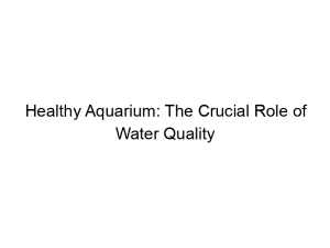 Read more about the article Healthy Aquarium: The Crucial Role of Water Quality