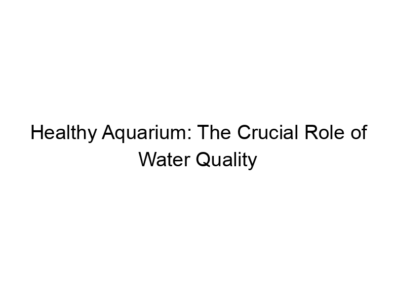 Read more about the article Healthy Aquarium: The Crucial Role of Water Quality