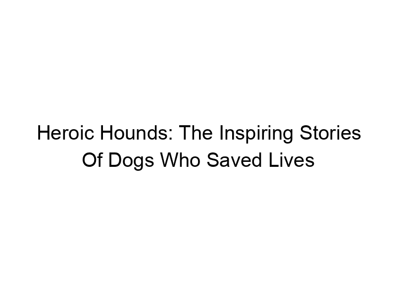 Read more about the article Heroic Hounds: The Inspiring Stories Of Dogs Who Saved Lives