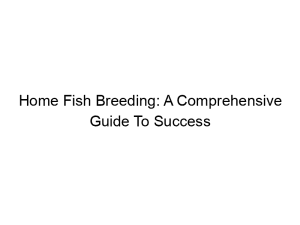 Read more about the article Home Fish Breeding: A Comprehensive Guide To Success