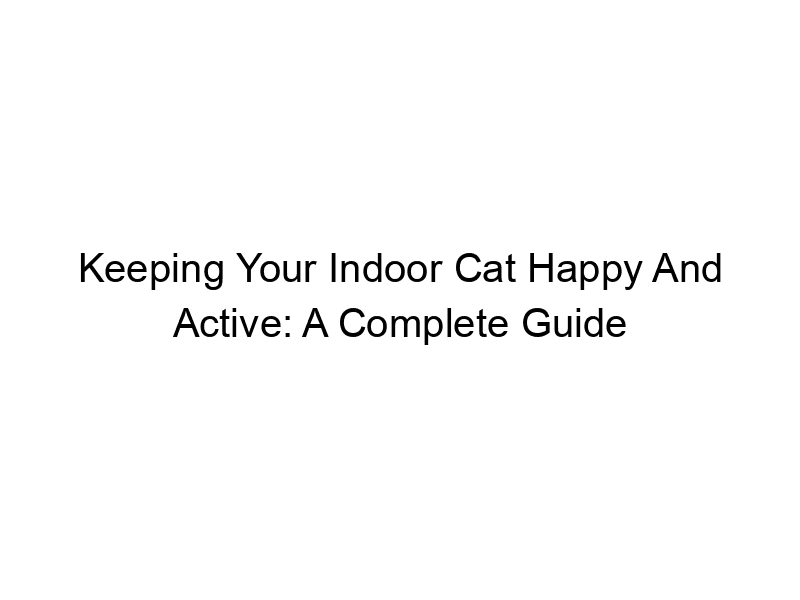 Read more about the article Keeping Your Indoor Cat Happy And Active: A Complete Guide