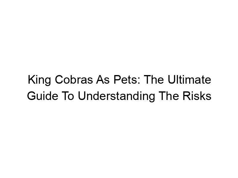 Read more about the article King Cobras As Pets: The Ultimate Guide To Understanding The Risks