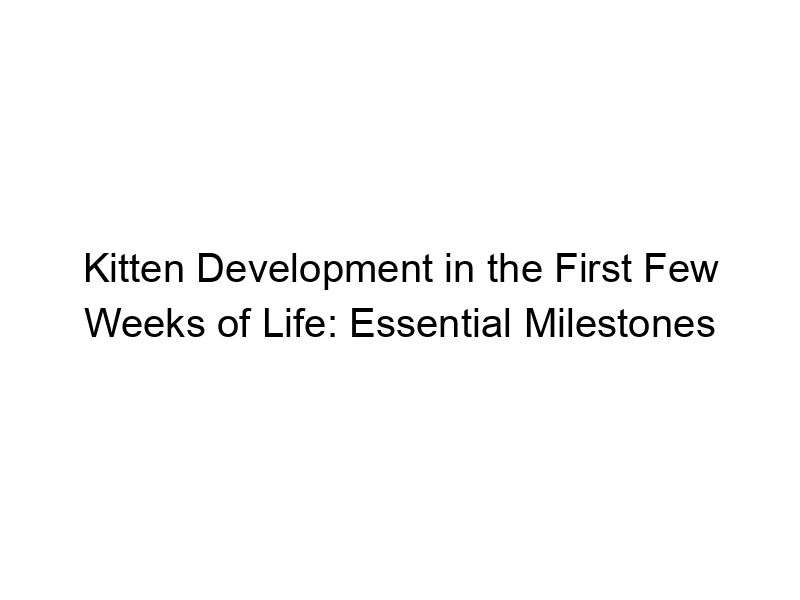 Read more about the article Kitten Development in the First Few Weeks of Life: Essential Milestones